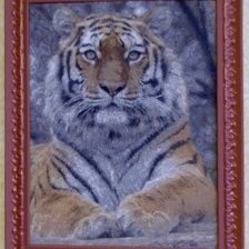 Работа «Тигр»