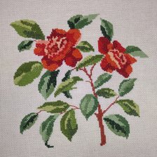 Работа «Камелия»