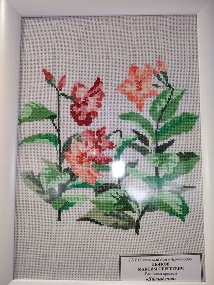 Работа «Дипладения»