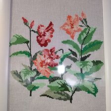 Работа «Дипладения»