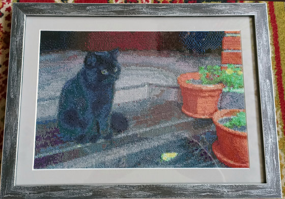 Работа «Кот Тимоша»