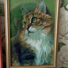 Работа «Котик»