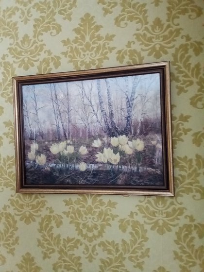 Работа «Оформила наконец то свои подснежники. Теперь любуюсь ими»