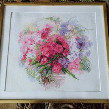 Работа «Флоксы»