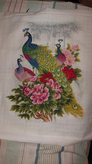 Работа «Павлины»