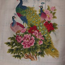 Работа «Павлины»