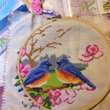 Работа «Ptaszki»