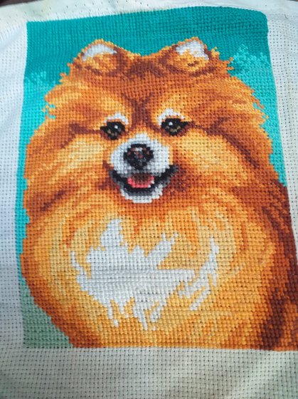 Работа «Pies»