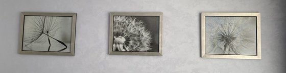 Работа «Одуванчики»