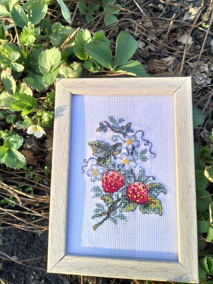 Работа «Схема Анны Петуновой "Спелая ягода"»