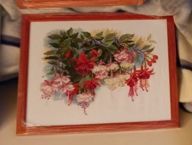 Работа «Фуксия»