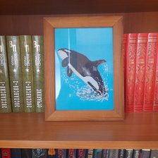 Работа «№96759»