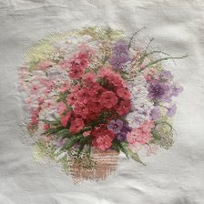 Работа «Флоксы»