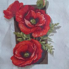 Работа «МАКИ»