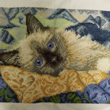 Работа «Котенок»