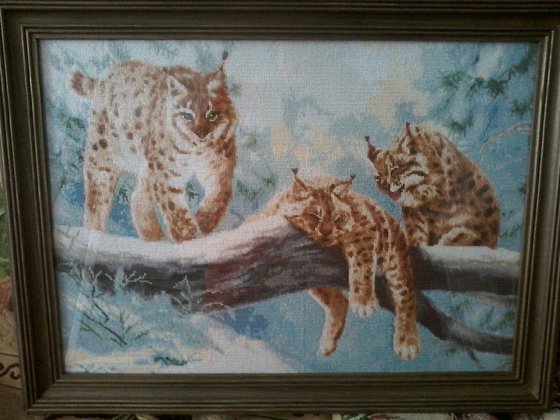 Работа «Рыси»