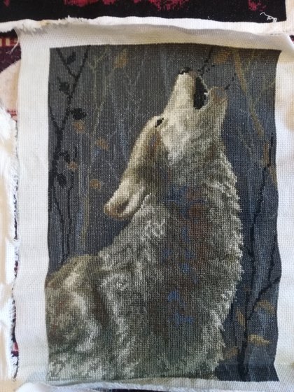 Работа «Волк»