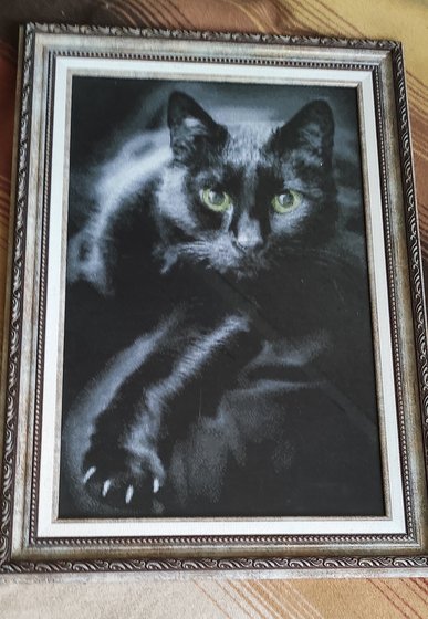 Работа «Зелёные глаза чёрной кошки»