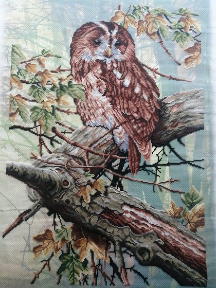 Работа «Набор от М. П. СТУДИИ»