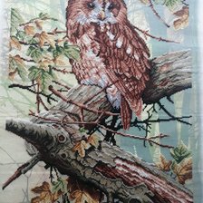 Работа «Набор от М. П. СТУДИИ»