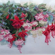 Работа «Фуксии от Риолис»