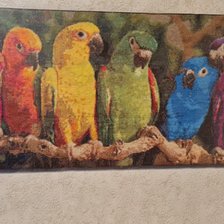 Работа «Попугаи»