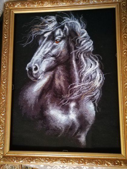 Работа «Ветер в гриву.»