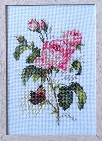 Работа «Роза и бабочка»