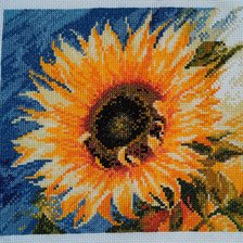 Работа «Посланник солнца»