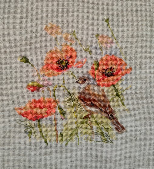 Работа «Ремез»