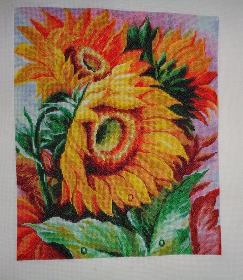 Работа «Цветы солнца 1»