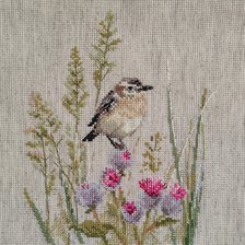 Работа «Луговой  чекан»