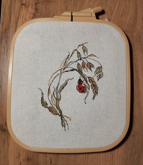 Работа «"Овёс". Дизайнер О. Князева»