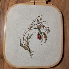 Работа «"Овёс". Дизайнер О. Князева»