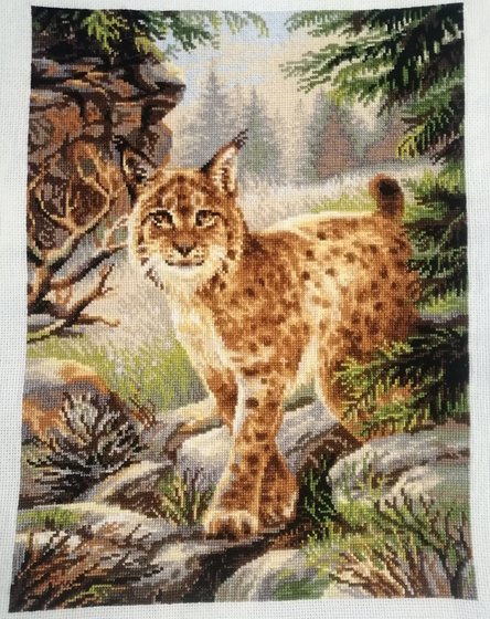 Работа «Лесная хозяйка»