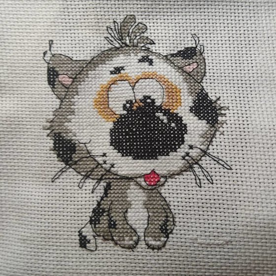 Работа «кот»