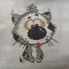 Работа «кот»