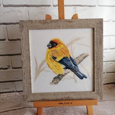 Работа «Жёлтый снегирь»