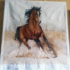 Работа «№97437»