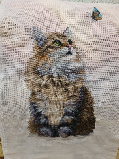 Работа «Кот Пушок»