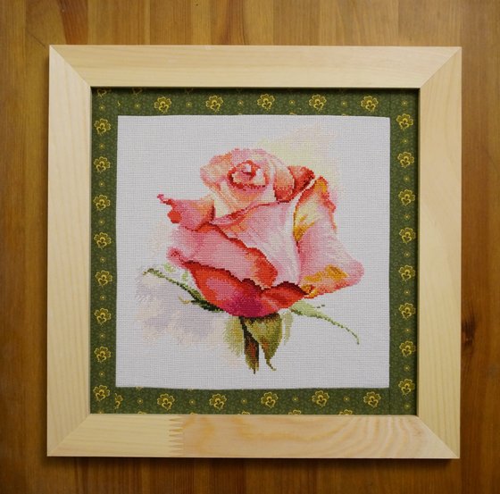 Работа «Дыхание розы. Очарование.»