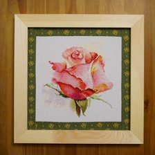 Работа «Дыхание розы. Очарование.»