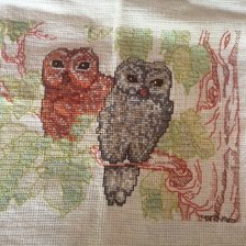 Работа «buhos gemelos»