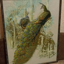 Работа «павлины»