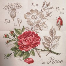 Работа «Роза ( китайский набор)»