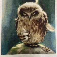 Работа «Сова с утра»