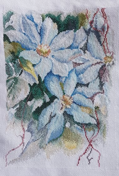 Работа «Клематисы от РТО»