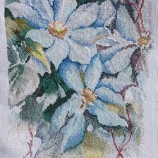 Работа «Клематисы от РТО»