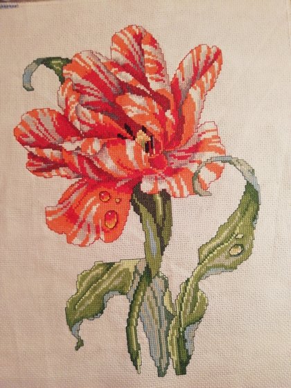 Работа «Тигровый тюльпан»