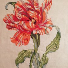 Работа «Тигровый тюльпан»